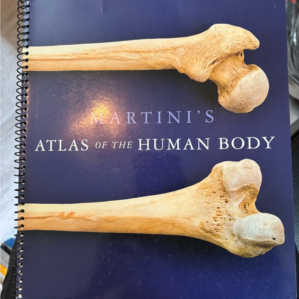 Martini's Atlas of the Human Body